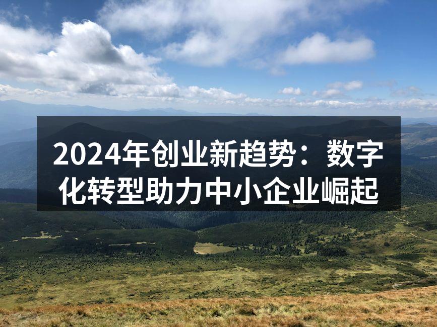2024年创业新趋势：数字化转型助力中小企业崛起