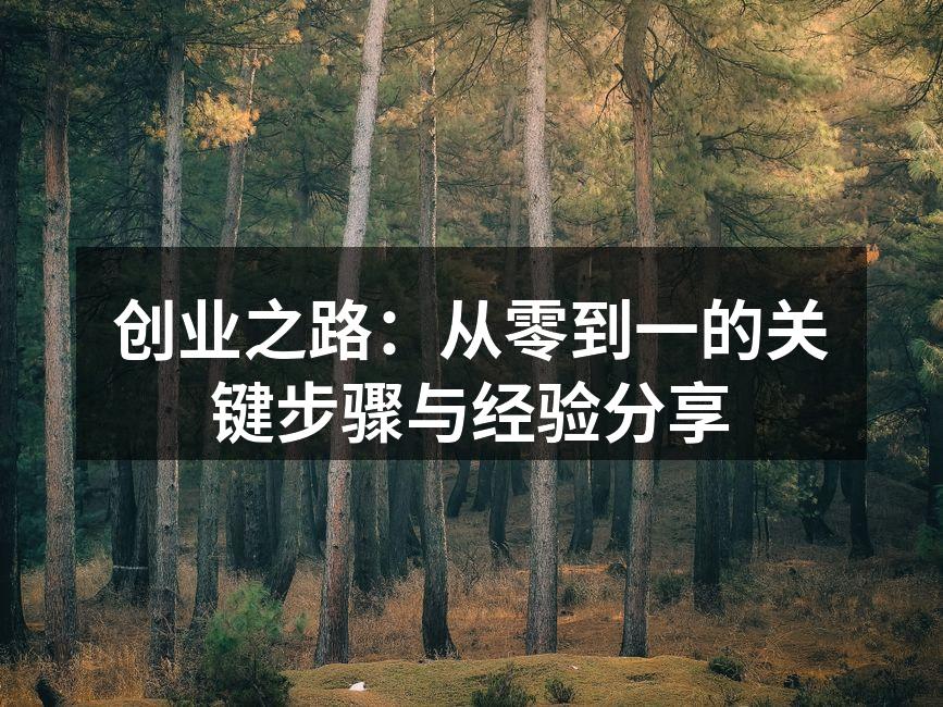 创业之路：从零到一的关键步骤与经验分享